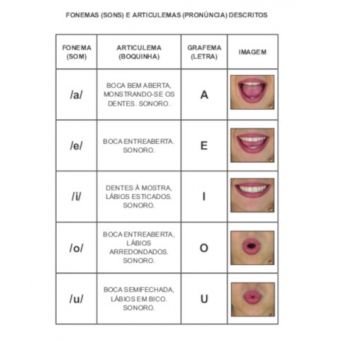 Volume 1 - VOGAIS: Alfabetização Boquinhas para Crianças com Autismo - MDB