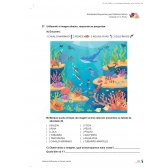 Fluência Leitora: Vol 3: C-R-G-r