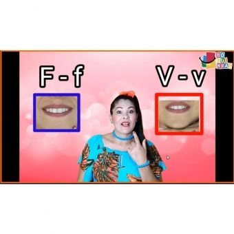 Cursos Boquinhas na Prática: Módulo 3: M-F-B-N-D -(MDB)