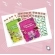 Kit Novo Alfabetização com Boquinhas +  10 pranchas de fixação - 2 livros
