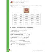 Fluência Leitora: Vol 4: J-S-X-Z-H