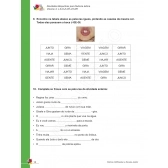 Fluência Leitora: Vol 4: J-S-X-Z-H