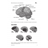 Método das Boquinhas: Uma Neuroalfabetização (fundamentação teórica) - MDB